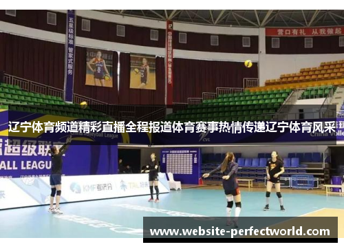 辽宁体育频道精彩直播全程报道体育赛事热情传递辽宁体育风采
